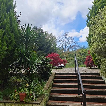 Posada Las Mozas Del Agua De Ríocorvo Exteriör bild